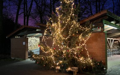 Weihnachtsstimmung an der Dieselstraße